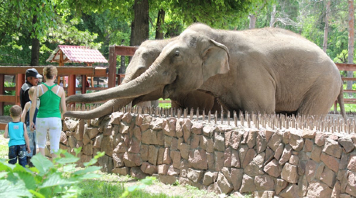 <span style="font-weight: bold;">Almaty and Zoo</span>&nbsp;